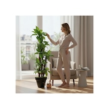 Yapay Dracaena 180 Cm - 3 Gövdeli Zebra Desenli Yapay Ağaç Siyah Plastik Saksı Çok Renkli