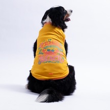 Sarı Crabby Beach Büyük Köpek Tişörtü - Köpek Kıyafeti 15 Kg-45 Kg