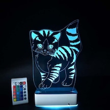 Özel Tasarım Sevimli Kedi 3D Led Lamba