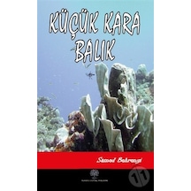 Küçük Kara Balık - Samed Behrengi - Platanus Publishing