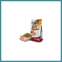 Trendexa N&d Tropical Selection Tavuklu Ve Tropikal Meyveli Kısırlaştırılmış Kedi Maması 4+1 Kg Mac