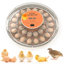 Altın Kuluçka-wonegg 30'lu Otomatik Kuluçka Makinesi