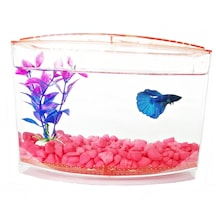 Bölmeli Izgaralı Betta Beta Kabı Tankı Akvaryum 1800 ML 19 x 8 x 13 CM Mavi
