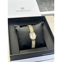 Momentus Cw317g-02sg Kadın Kol Saati