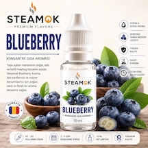 Steamok Blueberry Aroma