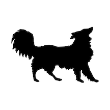 Folyo Sticker Köpek 30cm Uzunluk Siyah Folyo Sticker Köpek 30cm Uzunluk Siyah