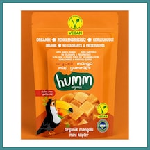 Bezos Organik Glutensiz Vegan Mangolu Mini Küpler 30 Gr Mac