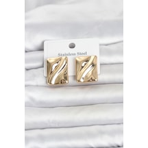 316l Çelik Gold Renk Plaka Model Kadın Küpe Tj-bkp11806 Altın - Çok Renkli