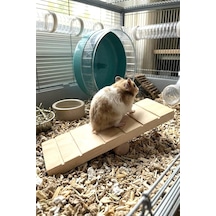 Tr Hamster Oyuncağı Tahtıravalli - Doğal Ahşap - 20x7 Cm