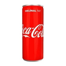 Coca Cola Kutu 250 Ml 24 Adet