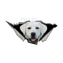 Beyaz Labrador Yırtık Metal Araba Sticker