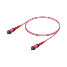 Wınet Fbr-Mm-Om4-Mpo-Mpo-B-10M Mpo Mpo Base-12 Multi-Mod Fiber Pa