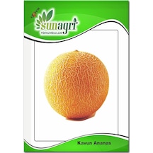 Ananas Kavun Tohumu 10 Gr.