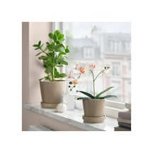 Ikea Fejka Serisi, Yapay Bitki, 9 Cm, Beyaz Pembe
