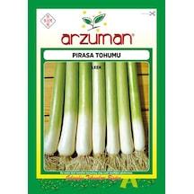Arzuman Pırasa Tohumu İnegöl 92 10 Gr