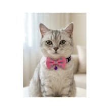 Papyonlu Kedi Boyun Tasması 3 Lü Set Ayarlanabilir Papyon Fiyonk Zilli Pembe