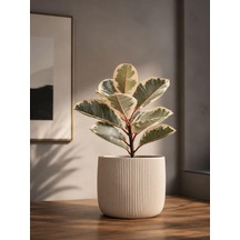 Modern Çizgili Saksı, Beyaz, 12x15 Cm, Masaüstü İç Mekan Dekoratif Çiçek Saksısı / Pla 3d Baskı