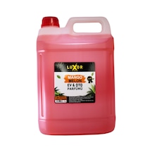 Luxor Kimya Mango Kavun Oto Kokusu 5 L