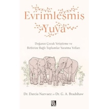Evrimleşmiş Yuva - Yqbx-715587
