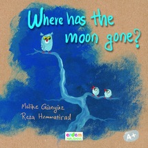 Where Was The Moon Gone? - Melike Günyüz -  Reza Hemmatirad - Ump