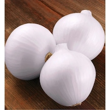 Beyaz Kuru Soğan Tohumu 10 GR