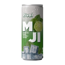 Rival Moji Limon Ve Nane Aromalı Gazlı İçecek 250 Ml 24'lü