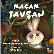 Kaçak Tavşan - Qhdh-880568