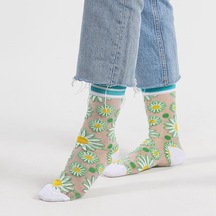 Bolero Papatyalı Şeffaf Transparan Kadın Çorap