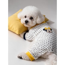 Spotty Sunny Minny Köpek Uyku Seti Siyah Beyaz Puantiyeli Penye Köpek Tulumu Ve Mini Yastık