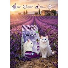 Catbravo Doğal Bentonite- Süper Topaklanan Lavanta Kokulu Kedi Kumu 10 Lt