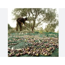 Zeytin Filesi - 95lik - Yeşil