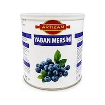 Artızan Yabanmersinli Dolgu 2,7 Kg