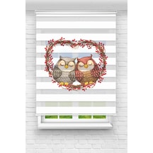 Perdeoutlet38 Baskılı Renkli Baykuşlar Dijital Baskılı Zebra Perde-cocuk Odası-stor Perde Model:tyc5653173f83561873959900 Çok Renkli