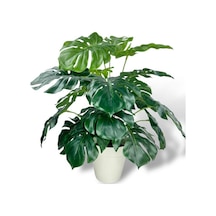 Yapay Çiçek Krem Saksıda Monstera Deve Tabanı Yeşil Doğal Dokulu 18dal 50cm Salon Çiçeği Yapay Bitki