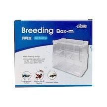 İsta Breeding Box-m Yavruluk