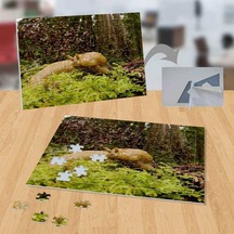 Yeşillikteki Salyangoz 99 Parça Puzzle Yapboz-p010