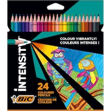 Color Up Üçgen Kuru Boya Kalemi, 24'lü Kutu Çok Renkli