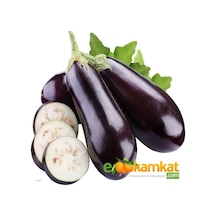 Kemer Patlıcan Tohumu 25 Gr Paket 1 Paket