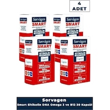 Sorvagen Smart Sitikolin Dha Omega 3 Ve B12 30 Kapsül 4 Adet