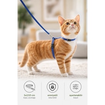 Kiwi Kpcl-10320c Kedi Göğüs Tasması Ve Gezdirme Seti