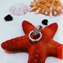 Gümüş Tek Sıra Taşlı Halka Küpe