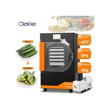 Dalle Dfd-06 Yüksek Teknolojili Freeze Dryer Dondurarak Kurutma Fırını