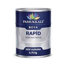 Pamukkale 1402 Rapid Hızlı Kuruyan Metal Boyası Parlak 0.75 Kg Ral 1035 İnci Beji