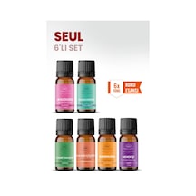 Seul 6 Lı Oda Kokusu Seti Buhurdanlık Yağı, Difüzör Esansı Ve Esansiyel Uçucu Yağ 10ml X 6 Karışık