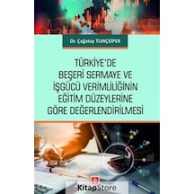 Türkiye'de Beşeri Sermaye ve İşgücü Verimliliğinin Eğitim Düzeylerine Göre Değerlendirilmesi - Çağatay Tunçsiper - Ekin Basım Yayın