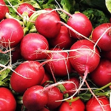 Kırmızı İri Turp Tohumu 10 Gr Paket 1 Paket