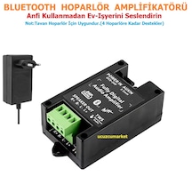Bluetooth Hoparlör Amplifikatörü Tavan Hoparlör Için Uygundur