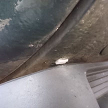 1983-1992 Volkswagen Golf Spoiler Montaj Klipsi