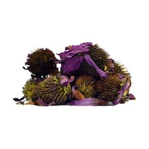 Bitki Diyarı Ekinezya Çiçek 50gr