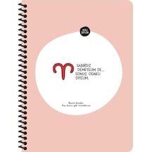 Hisli Şeyler Burçlar Serisi 16,5x22,5 Kareli Spiralli Stickerli Defter - Sabırsız Demeyelim De Sonuç Odaklı Diyelim Pembe